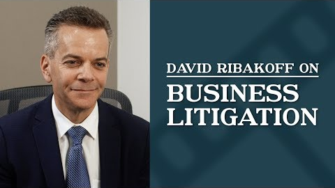 Business Litigation | Top Los Angeles Commercial Litigation Attorney | David Ribakoff
