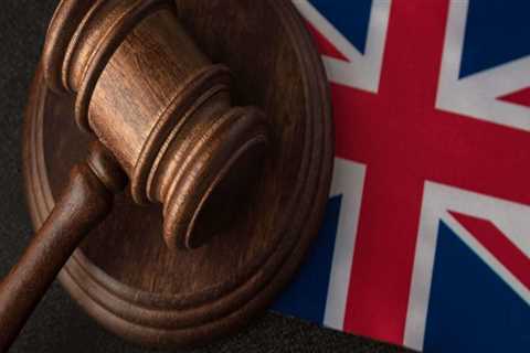 What are the chances of winning an immigration appeal?