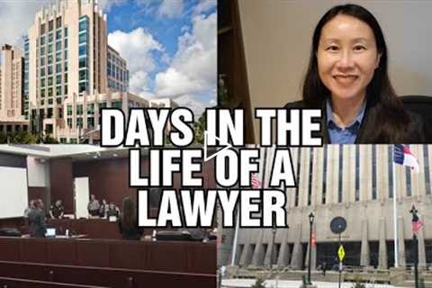 Days in the Life of a Family Lawyer. Attorney goes to Court. Custody & Divorce Law