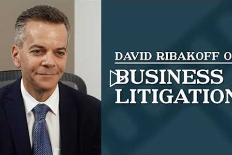 Business Litigation | Top Los Angeles Commercial Litigation Attorney | David Ribakoff