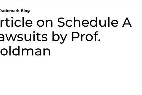 Article on Schedule A Lawsuits by Prof. Goldman