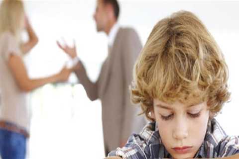 Family Lawyer USA: The Basics Of Divorce And Custody Law In Denver, CO