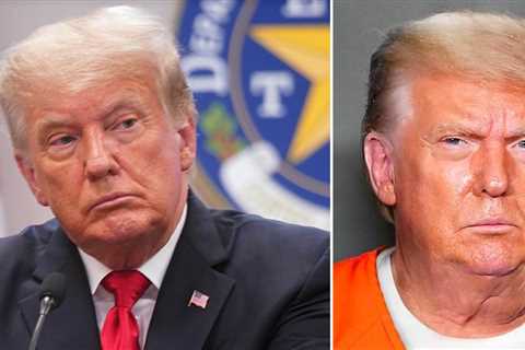 Donald Trump TROLLED With Fake Mugshots As Ex-Prez's Attorney Argues There's 'No Need' For An..