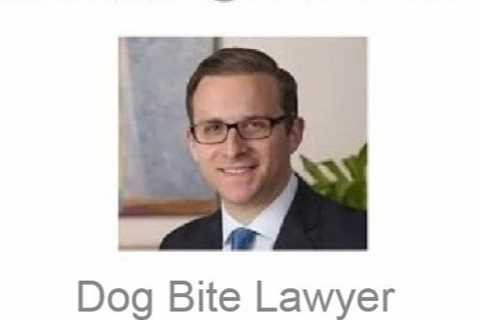 Dog Bite Lawyer Glen Burnie, MD