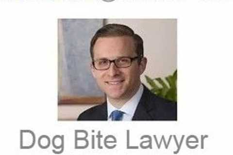 Dog Bite Lawyer Baltimore, MD