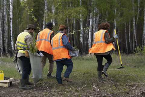 BEST PRACTICES FOR EMERGENCY TREE SERVICES