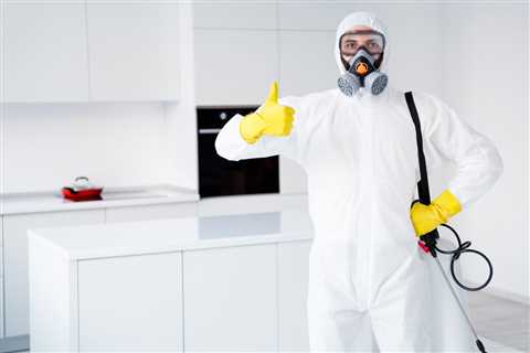 Preventing an IP Infection: Clean Room Development Procedure