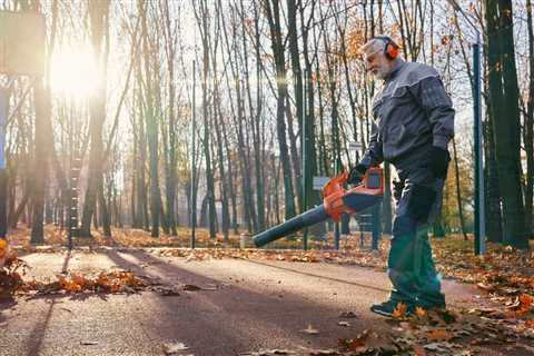 WHEN TO CALL A TREE REMOVAL COMPANY: SIGNS YOU NEED TO KNOW