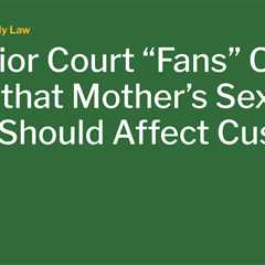 Superior Court “Fans” On Claim that Mother’s Sex Work Should Affect Custody.