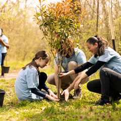 ENCOURAGING COMMUNITY INVOLVEMENT IN TREE PLANTING PROJECTS