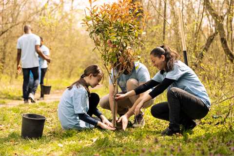 ENCOURAGING COMMUNITY INVOLVEMENT IN TREE PLANTING PROJECTS