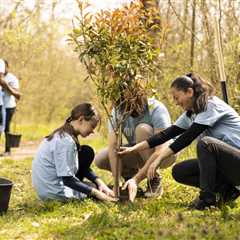 ENCOURAGING COMMUNITY INVOLVEMENT IN TREE PLANTING PROJECTS IN URBAN AREAS