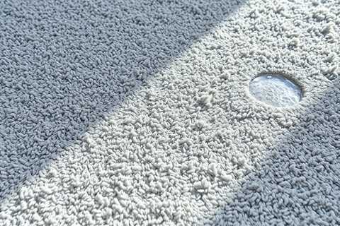 Shampoo Carpet Until Water Is Clear