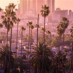 Understanding Fraud Crimes And Laws: What Los Angeles Residents Need To Know