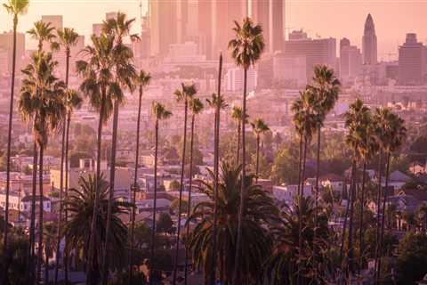 Understanding Fraud Crimes And Laws: What Los Angeles Residents Need To Know