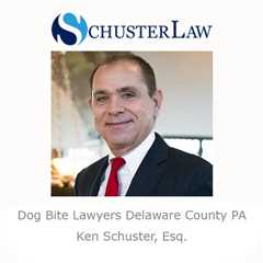 Dog Bite Lawyers Delaware County PA