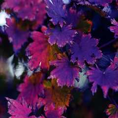 New blog jamesw628vvt3.madmouseblog.com