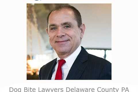 Dog Bite Lawyers Delaware County PA