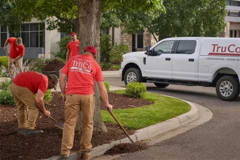 Provo Utah Landscape Maintenance