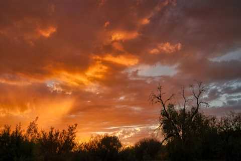 New blog francesv851cby5.mdkblog.com