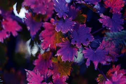 New blog jamesw628vvt3.madmouseblog.com