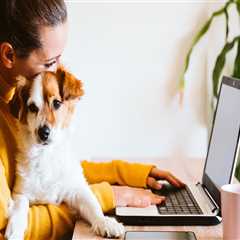 New blog masonv639zzx5.ziblogs.com