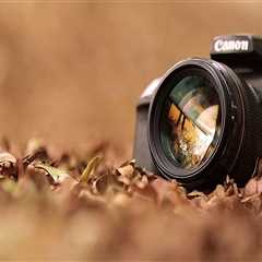 New blog zanes417srp3.mybuzzblog.com