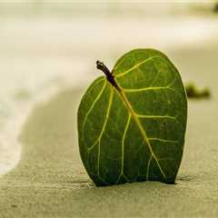 New blog seanl418aej1.liberty-blog.com