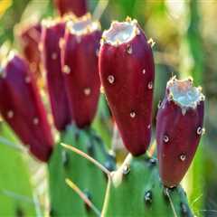 New blog erasmush431ozh1.blogsvirals.com