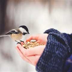 New blog johni432sdp4.angelinsblog.com