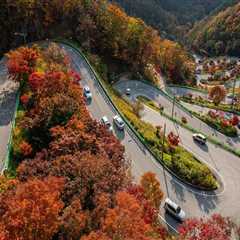 Not known Factual Statements About Trusts Lawyer