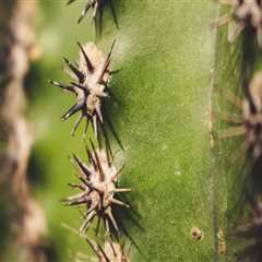 New blog chesterq987hug2.blogsvirals.com