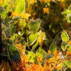 New blog carolyni666gwl0.blogofchange.com