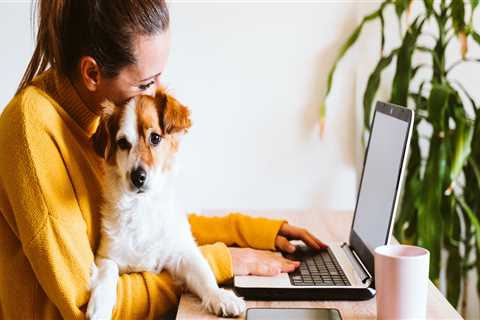 New blog masonv639zzx5.ziblogs.com