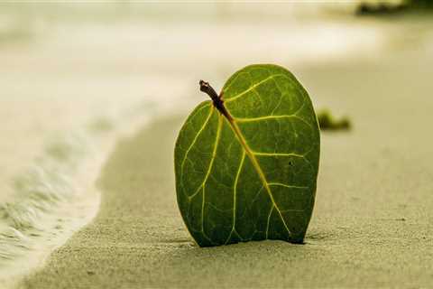 New blog seanl418aej1.liberty-blog.com