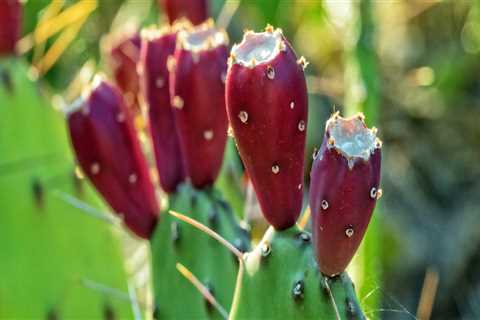 New blog erasmush431ozh1.blogsvirals.com