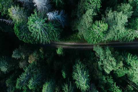 New blog joani542nvb8.like-blogs.com