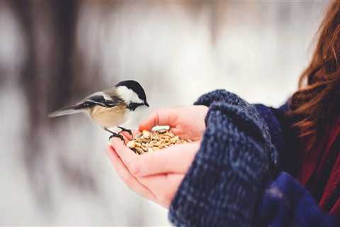 New blog johni432sdp4.angelinsblog.com