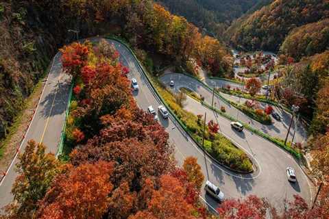 Not known Factual Statements About Trusts Lawyer