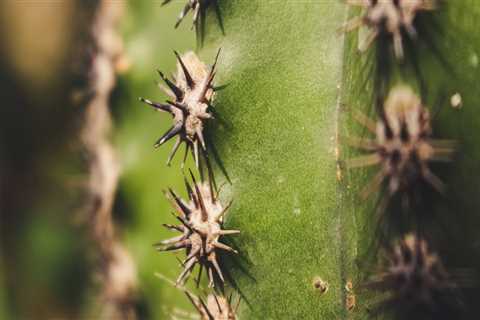 New blog chesterq987hug2.blogsvirals.com