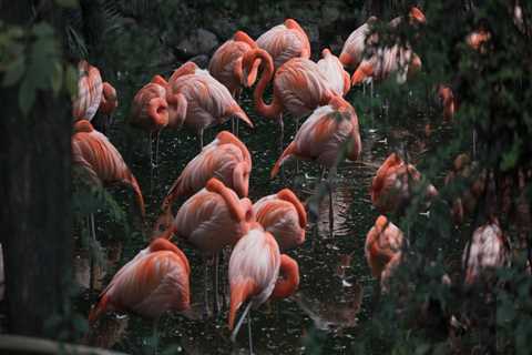 New blog wardb579wvq8.blogdemls.com