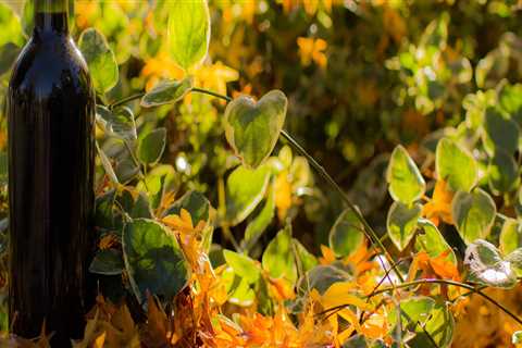 New blog carolyni666gwl0.blogofchange.com