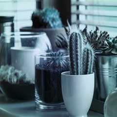 The business succession lawyer Diaries