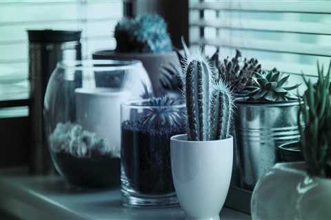 The business succession lawyer Diaries