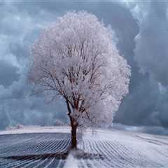 Helping The others Realize The Advantages Of corporate law