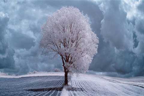 Helping The others Realize The Advantages Of corporate law